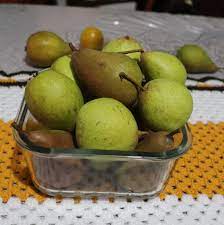 [Kg] Durazno abridor