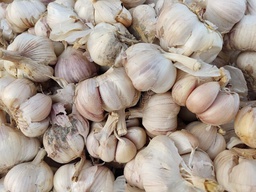 [150g] Ajo común