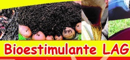 [Litro] Bioestimulante Lag