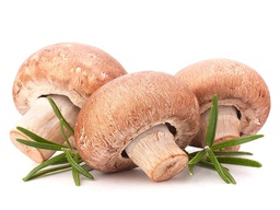Hongos ostras deshidratados (Empaques 30 g)